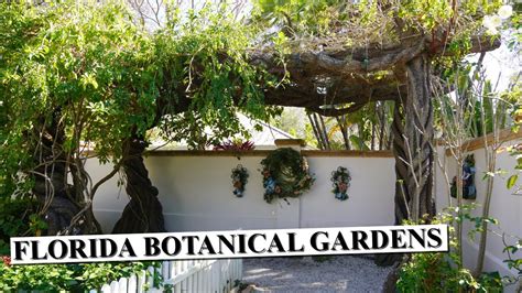 Florida Botanical Gardens Largo Fl Youtube