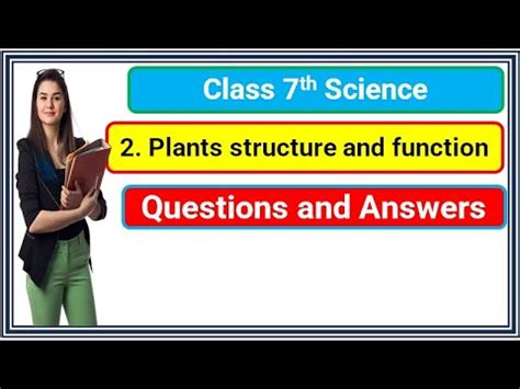 7th Std Plants Structure And Function Question Answer Plants