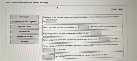 Solved Match These Vocabulary Terms To Their Chegg