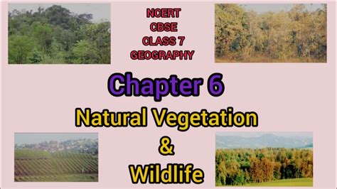 Natural Vegetation Wildlife Chapter 6 Class 7 Geography NCERT CBSE