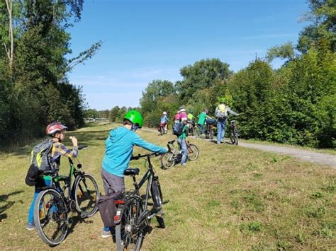 Junge Auwald Ranger Erforschen Leipziger Gew Sser Auwaldstation Leipzig