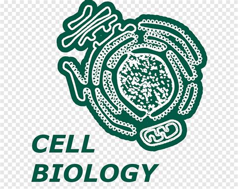 Logo Brand Organism Font Cell Biology Text Circle Png Pngegg