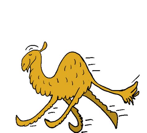 Camel Camels Sticker Camel Camels Discover Share Gifs