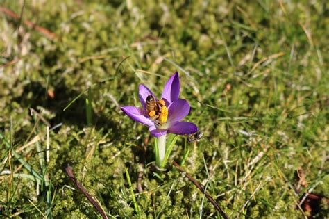 Der Frühling steht vor der Tür Öhringen