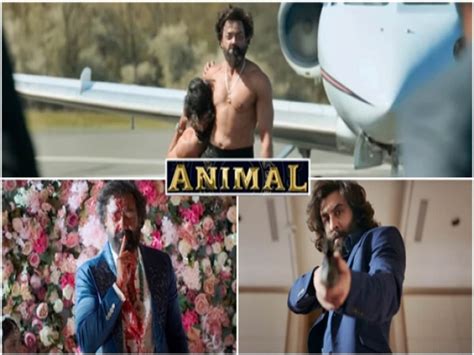 Animal First Day Advance Booking Box Office Report Starring Ranbir