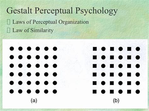 1 Perceptual Process