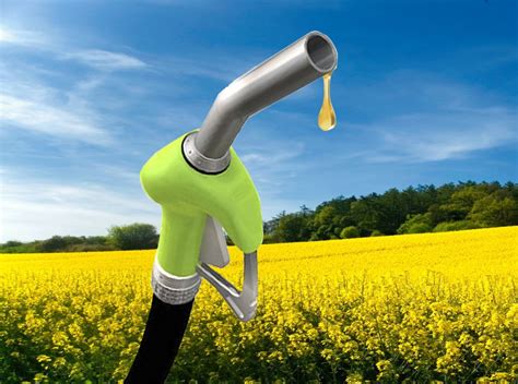 Biodiesel Arslan2015 Arslan Enginery