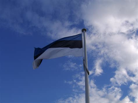 National Flag Of Estonia Rankflags Collection Of Flags