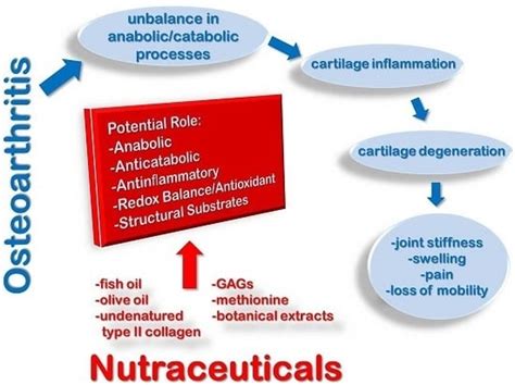 IJMS Free Full Text Nutraceutical Supplements In The Management And