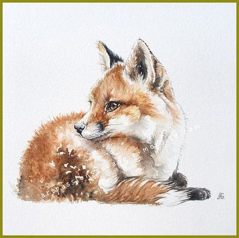 Aquarell Hintergrundbilder Fuchs