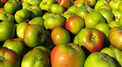 Visit Armagh Why Armagh For The Bramley Apple