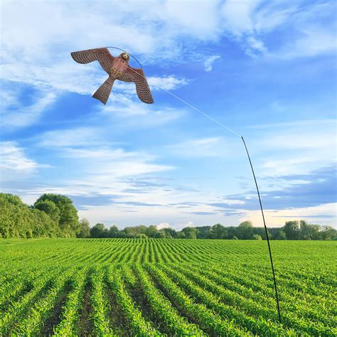 Snapklik Flyonte Birds Scaring Hawk Flying Kite