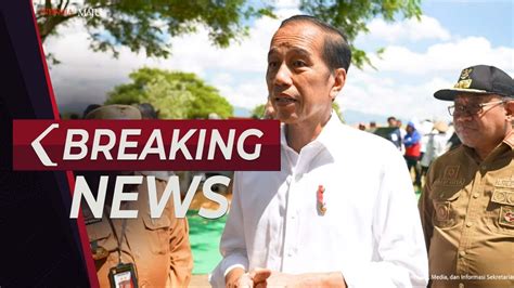 BREAKING NEWS Keterangan Presiden Jokowi Usai Tinjau Panen Raya