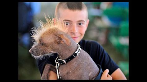 Donde Se Realiza El Concurso Del Perro Mas Feo