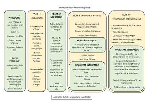 Malade Imaginaire Sch Ma Structure La Composition Du Malade