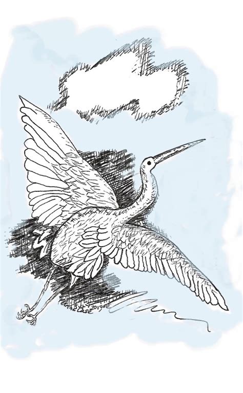 Bird Flight Pen And Ink 1703 Paperpopupss Blog