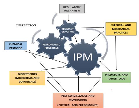 Schematic Diagram Of Ipm Black Arrows Indicate Different Strategies