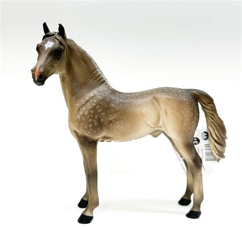 Silver Grulla Horse