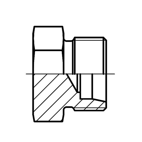 Metric Hydraulic Caps And Plugs Din Screw Plug Fitsc