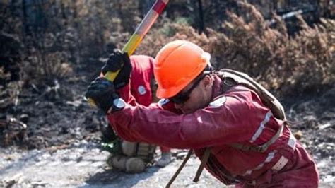 Growing B C Wildfire Closes Highway 20 Following Evacuation Alert PaNOW