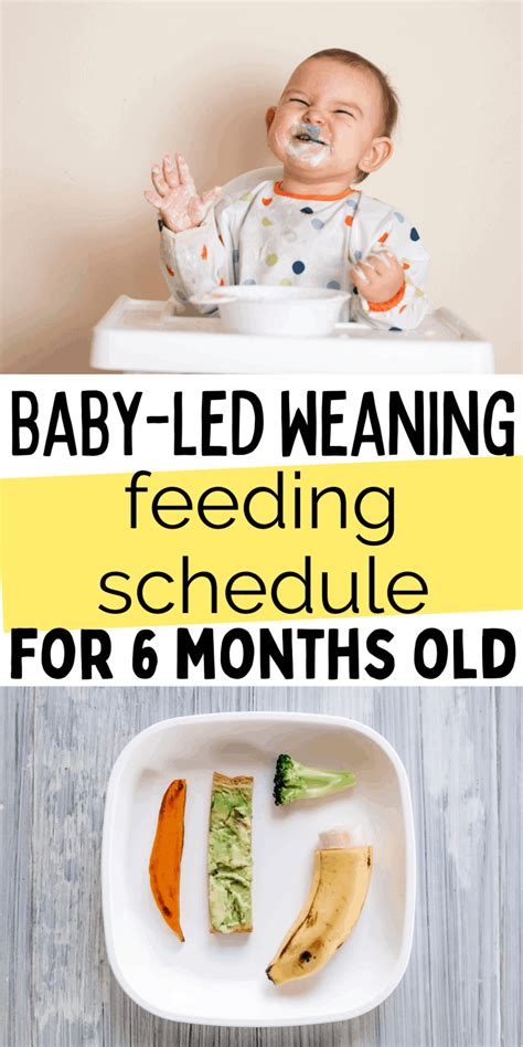 Month Old Baby Led Weaning Meal Ideas Feeding Schedule Baby Led