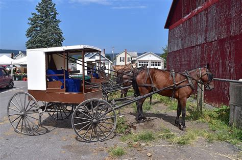 Amish Buggies Belleville Pa In The Kishacoquillas Valley Flickr