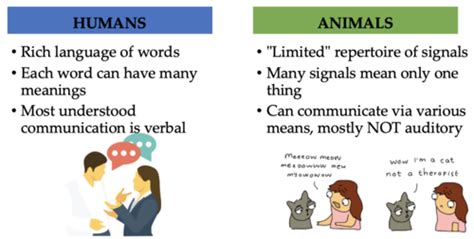 animal behavior ch8: principles of communication Flashcards | Quizlet