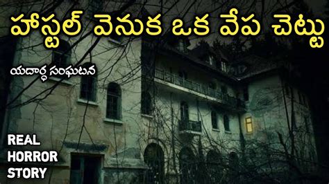 Ghost Tree Real Horror Story In Telugu Telugu Stories Telugu