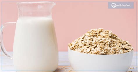 Vegan Milk & How To Make It! | The Milkbasket Blog