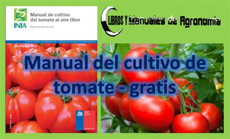 Manual Del Cultivo De Tomate Pdf Gratis Libros Y Manuales De Agronomia