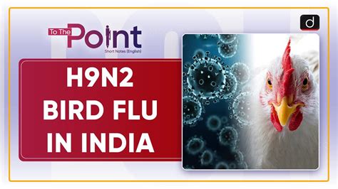 H9N2 Bird Flu In India To The Point Drishti IAS English YouTube