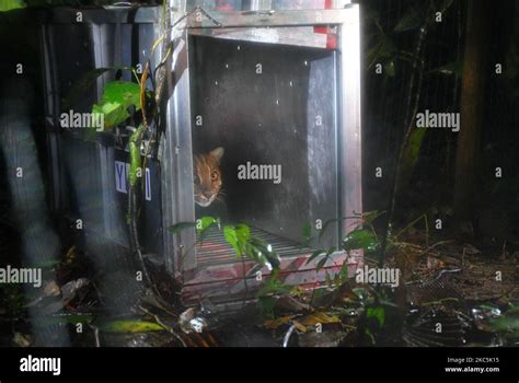 Balai Besar Bukit Barisan Selatan National Park Hi Res Stock