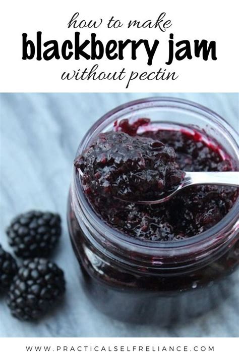 Blackberry Jam Canning Recipe No Pectin Bryont Blog