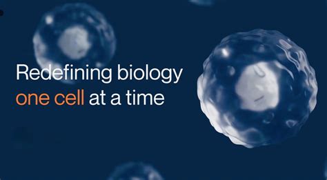 Deepcell Raises Million To Advance Ai Powered Single Cell Analysis