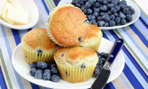 Blueberry Growing Kit Groupon Goods