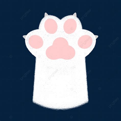 Fluffy Cat Clipart PNG Images, Fluffy White Cat Paw Illustration, Cat ...