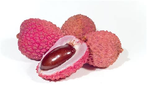 Growing Lychee Trees From Seed Agromoris