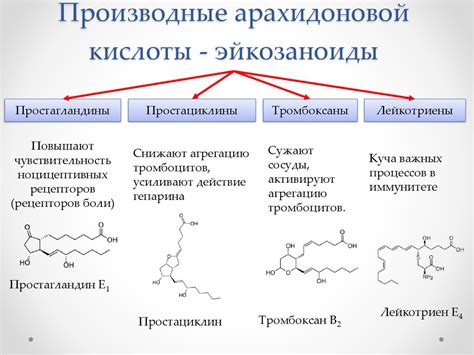 Липиды. Насыщенные и ненасыщенные жирные кислоты - презентация онлайн