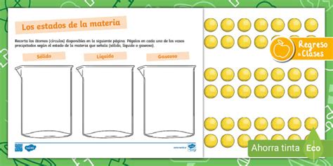 Hoja De Trabajo Los Estados De La Materia Teacher Made