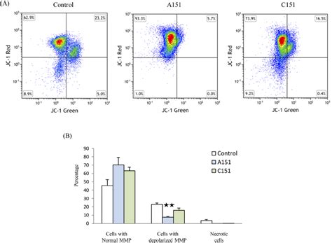 A Reduced Depolarization Of Mitochondrial Membrane Potential Mmp