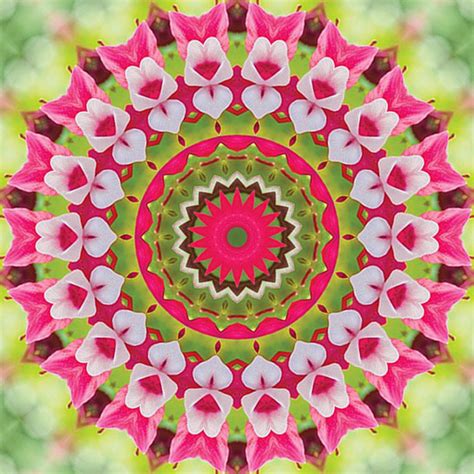 Solve Kaleidoscope Magnolia Hearts Very Large Jigsaw Puzzle Online