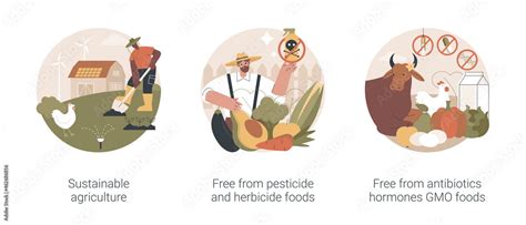 Sustainable Organic Agriculture Abstract Concept Vector Illustration