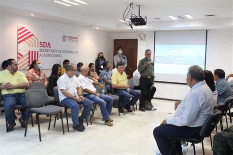 S Ptima Reuni N Del Comit Estatal De Apoyo Al Censo Agropecuario