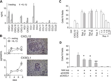 Human Islets Produce Chemokines And Attract Bm Mscs By Secreting Cxcl