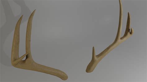 Deer Antlers 3d Model 3d Model Cgtrader