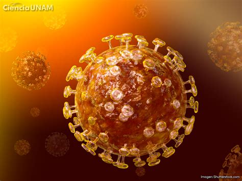 Especial Coronavirus Buscas Informaci N De Covid Y Otras