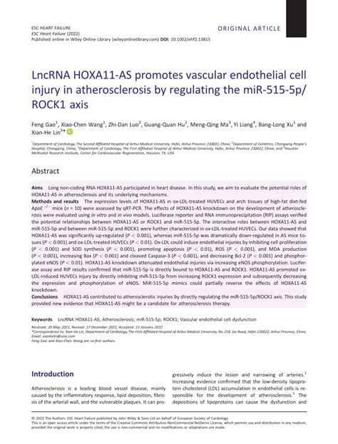 Pdf Lncrna Hoxa As Promotes Vascular Endothelial Cell Injury In