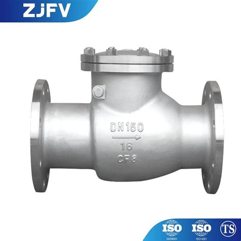 Pn16 DN100 Stainless Steel Flange End Swing Check Valve China Non