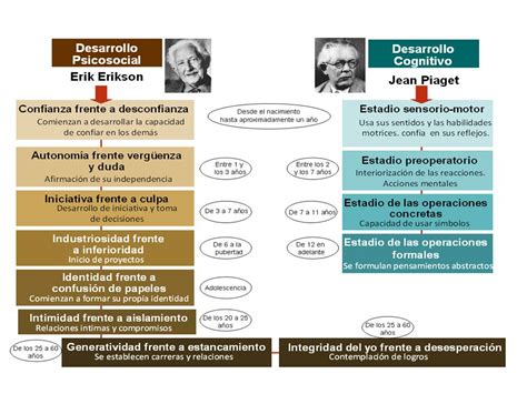 Erick Erikson Teoría del desarrollo psicosocial PSINTESIS