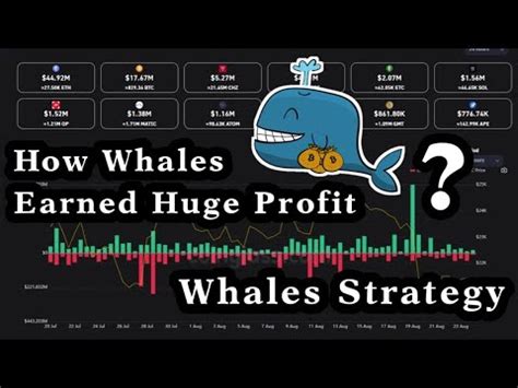 Crypto Whales Strategy Data Analysis Complete Details How Whales